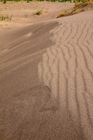 Great Sand Dunes NP 4536