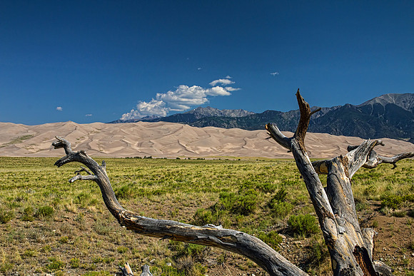 Great Sand Dunes NP 4525