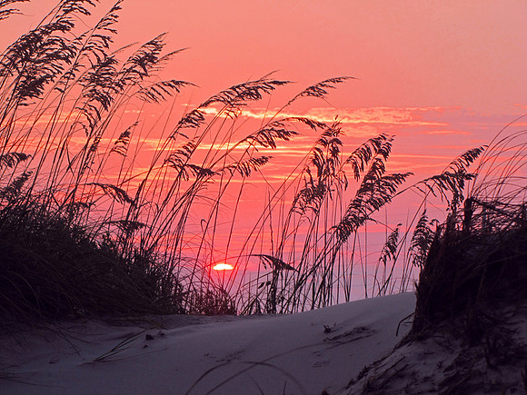 Outer Banks 107