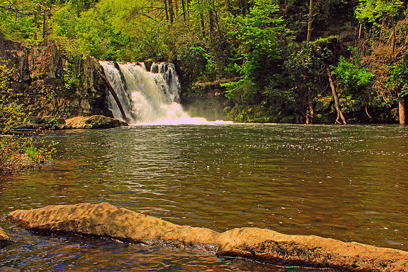 Smoky Mountain National Park 4728