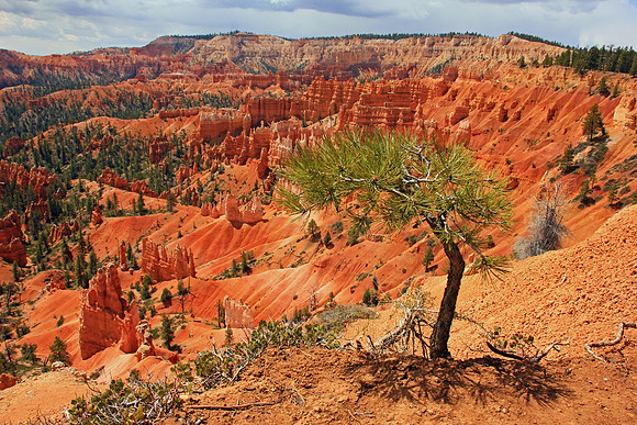Bryce Canyon 0411