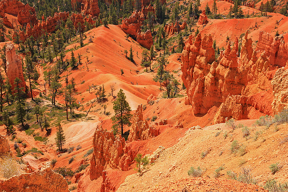 Bryce Canyon 0400