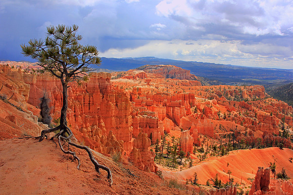 Bryce Canyon 0418