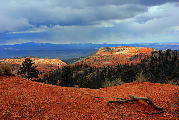 Bryce Canyon 0498