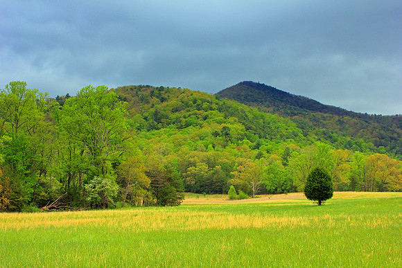Smoky Mountain National Park 4693