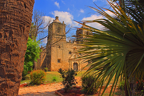 Texas Wildflowers and Missions 1299