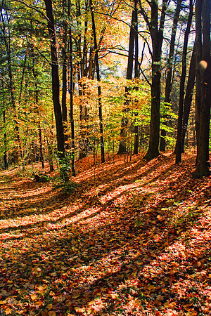 Autumn 0873