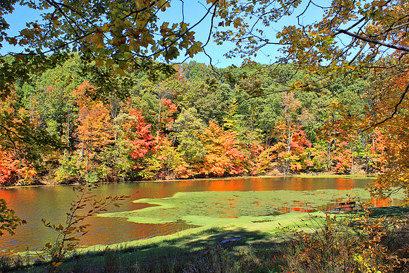 Autumn 0705