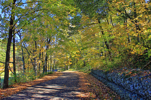 Autumn 0702