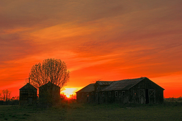 Barn Sunset 8826