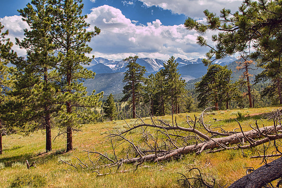 Rocky Mountain NP 049