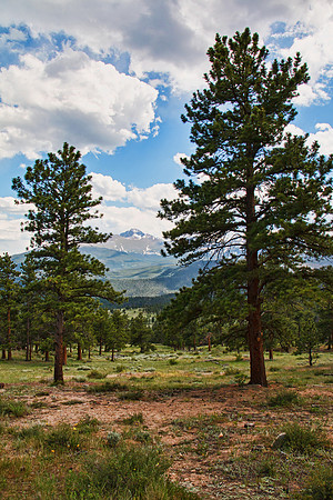 Rocky Mountain NP 044