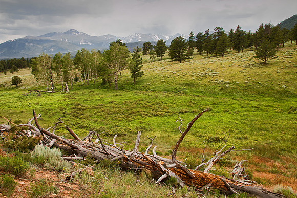 Rocky Mountain NP 086
