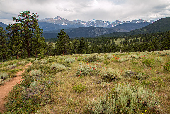 Rocky Mountain NP 095