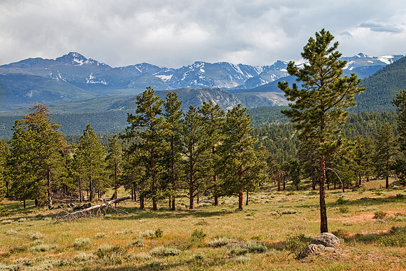 Rocky Mountain NP 123