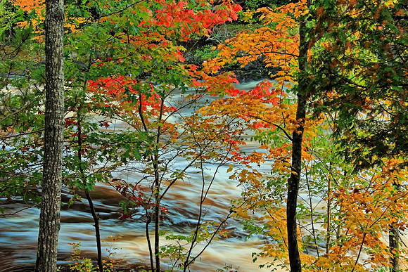 Michigan UP Fall 6387