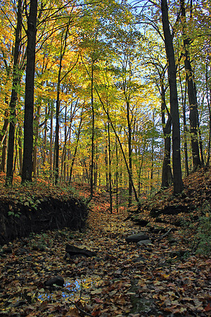 Autumn 0842