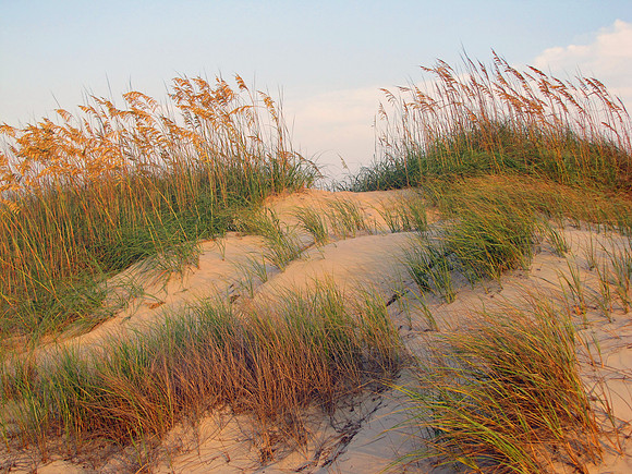 Outer Banks 67