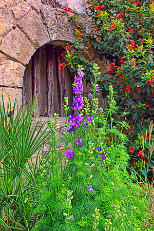 Texas Wildflowers and Missions 1283