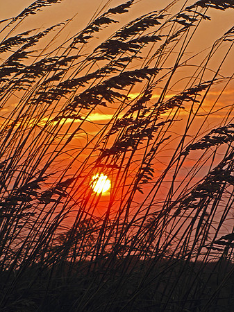 Outer Banks 100