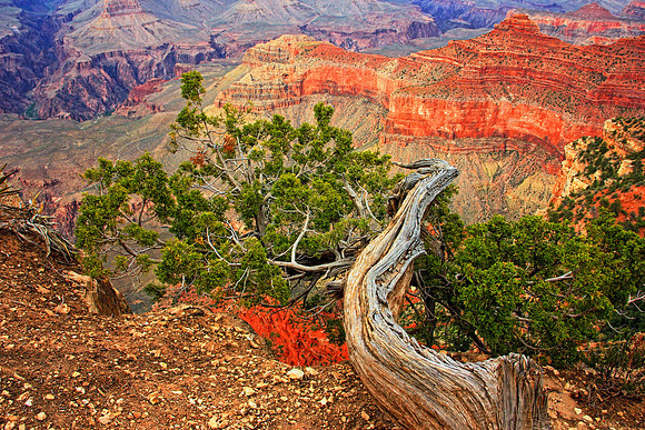 Grand Canyon 9642