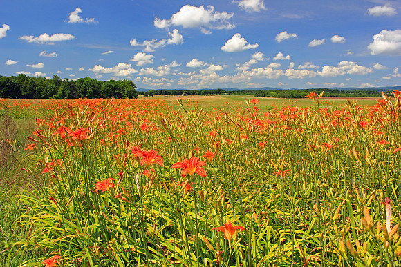 Shenandoah National Park 324