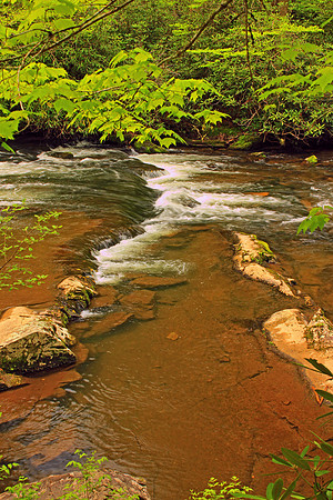 Smoky Mountain National Park 4707