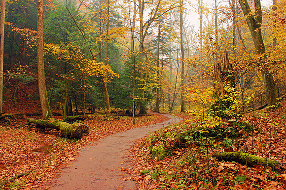 Hocking Hills 3032