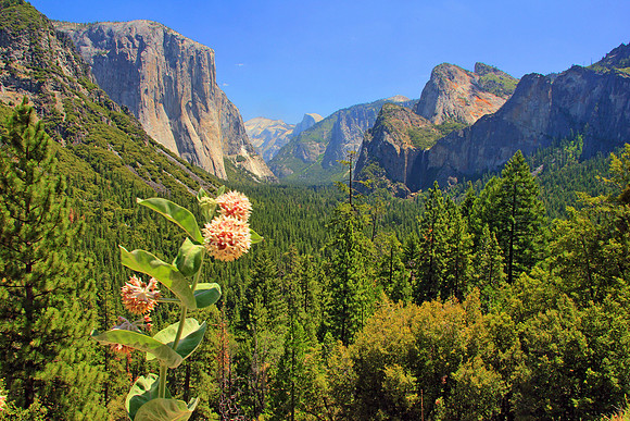 Yosemite 5245