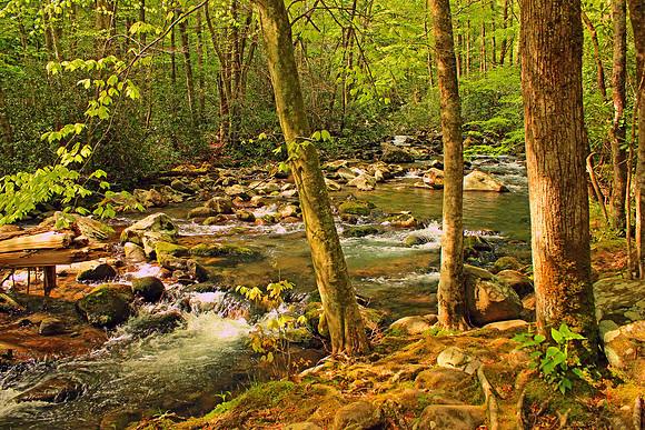 Smoky Mountain National Park 4776
