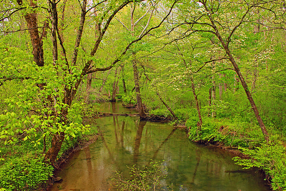 Smoky Mountain National Park 4694