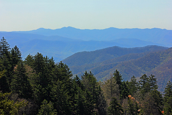 Smoky Mountain National Park 4902