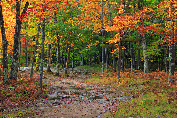 Michigan UP Fall 6391
