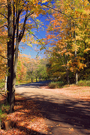 Autumn 0708