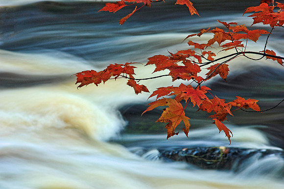 Michigan UP Fall 6396