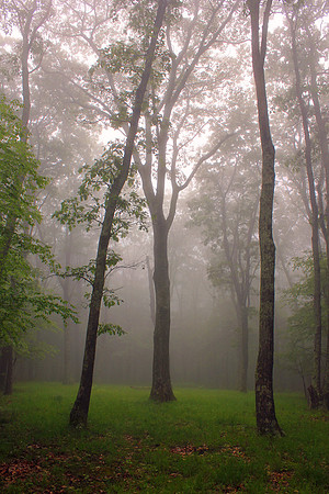 Shenandoah National Park 136