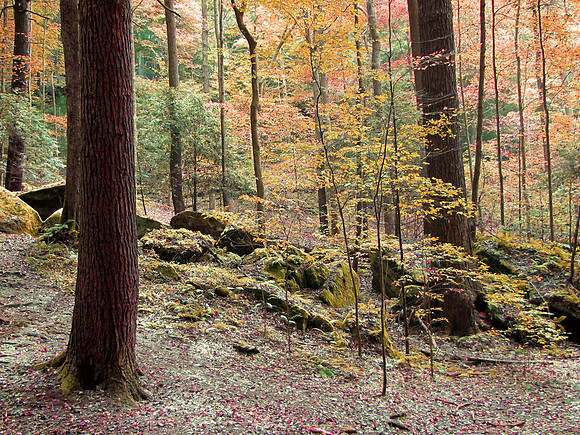 Hocking Hills 300