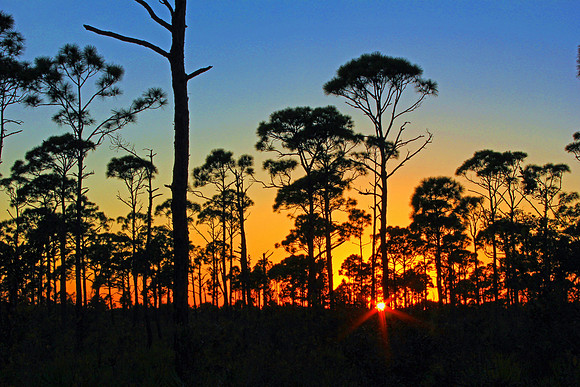 Florida Sunset 4173