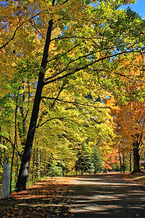 Autumn 0720