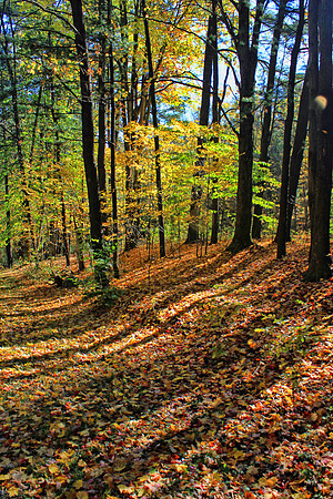 Autumn 0873