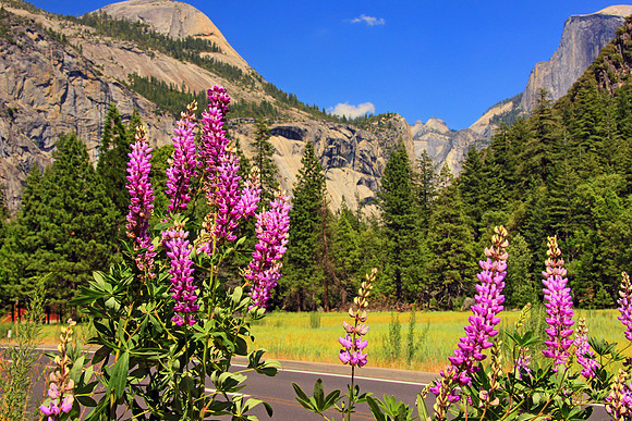 Yosemite 5368