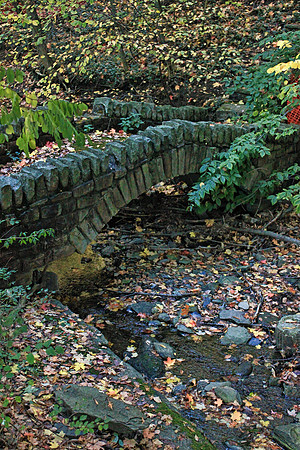 Autumn 0798