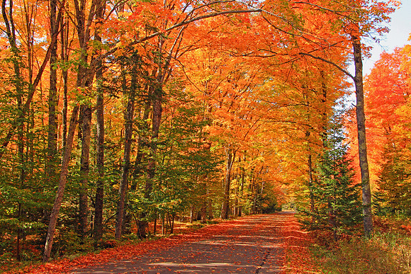 Michigan UP Fall 6462