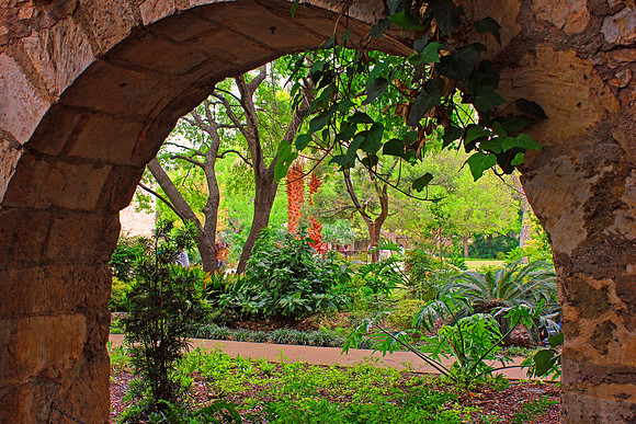 Texas Wildflowers and Missions 1277