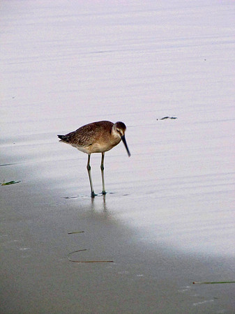 Outer Banks 110