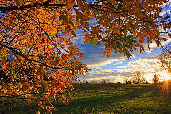 Autumn 2787