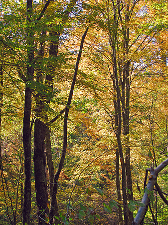 Hocking Hills 247