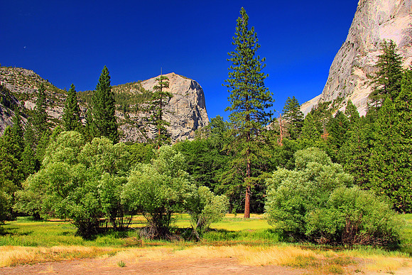 Yosemite 5531