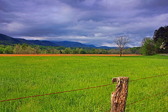 Smoky Mountain National Park 4675