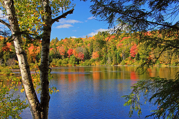 Michigan UP Fall 6895